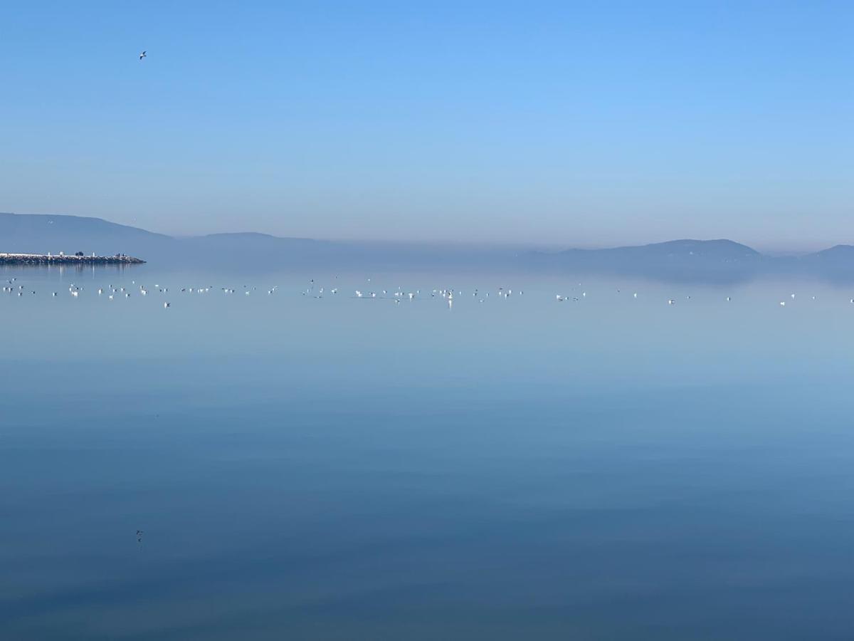 Topart Apartman I Balatonfenyves Exteriör bild