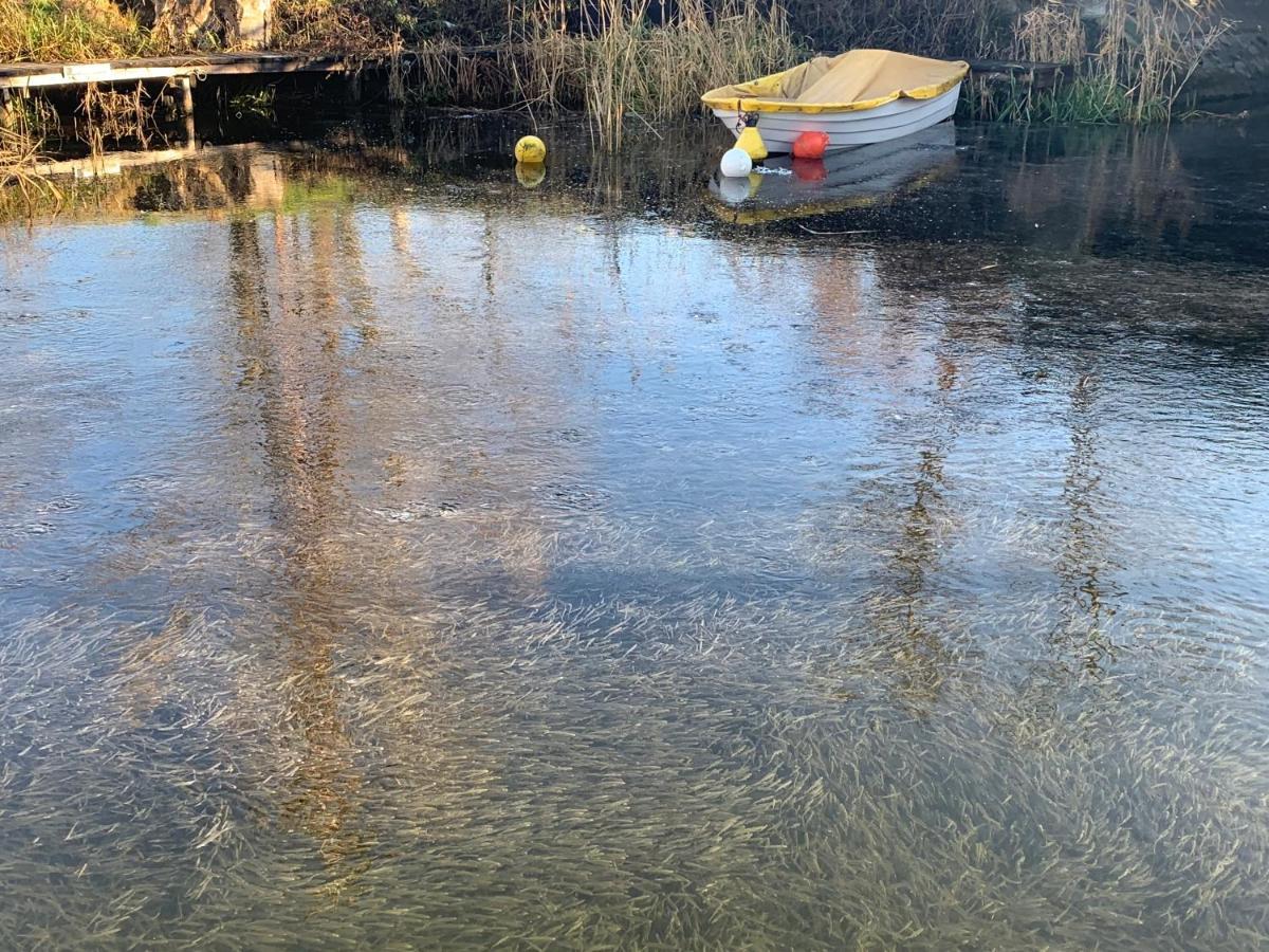 Topart Apartman I Balatonfenyves Exteriör bild
