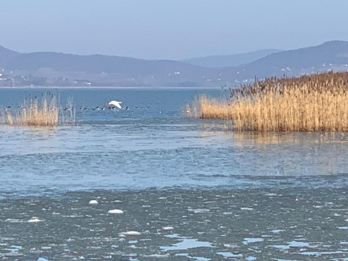 Topart Apartman I Balatonfenyves Exteriör bild
