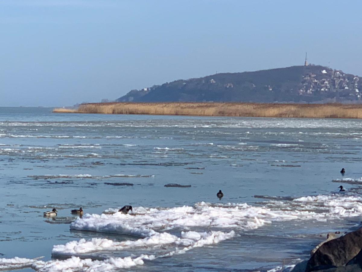 Topart Apartman I Balatonfenyves Exteriör bild