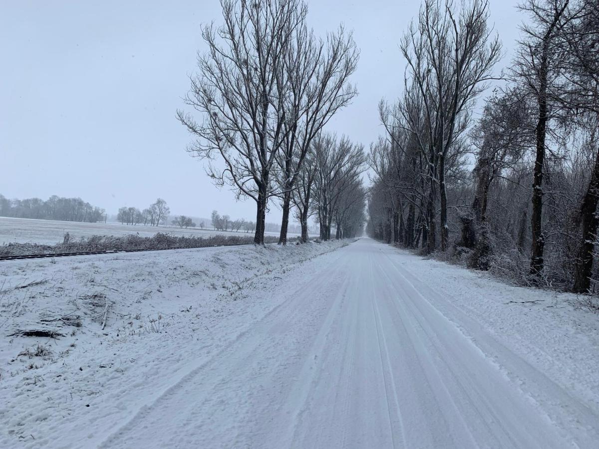 Topart Apartman I Balatonfenyves Exteriör bild