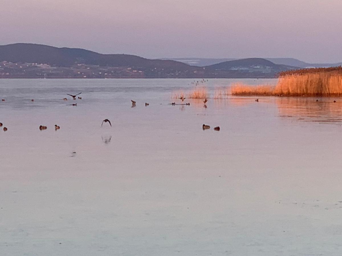 Topart Apartman I Balatonfenyves Exteriör bild