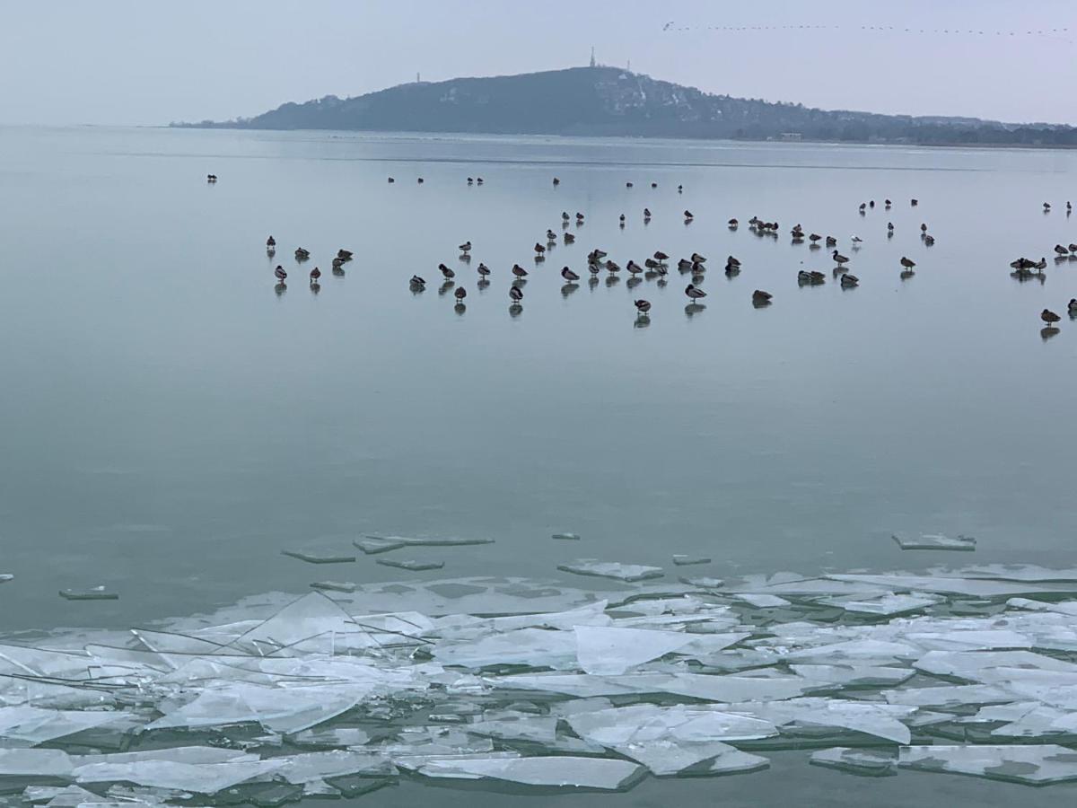 Topart Apartman I Balatonfenyves Exteriör bild